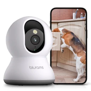 Home Security